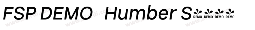 FSP DEMO   Humber S字体转换